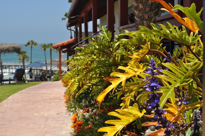Beachcomber Inn