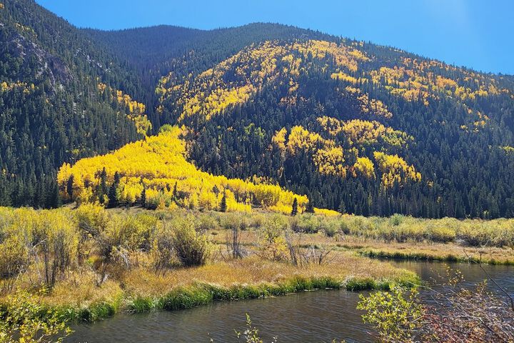 Buffalo Peaks B & B