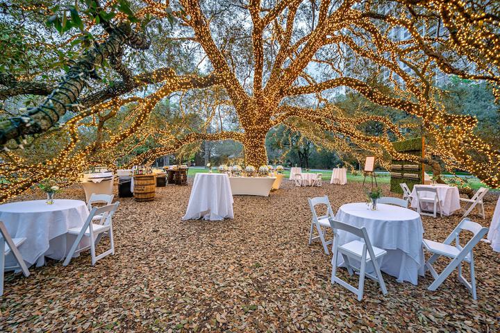 Wedding/Banquet 73 of 76