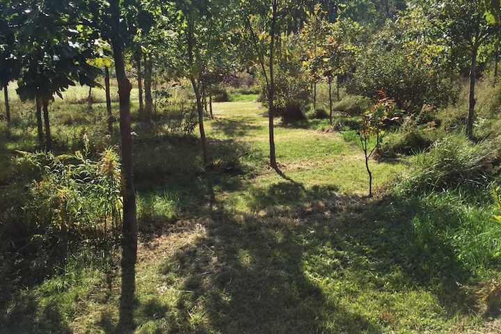Wenzlers Landing Bed & Breakfast
