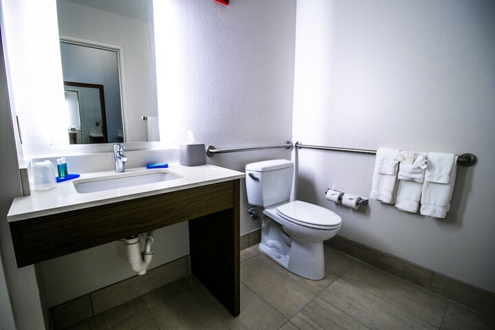 Holiday Inn Express Hotel & Suites a Baton Rouge-Port Allen by IHG