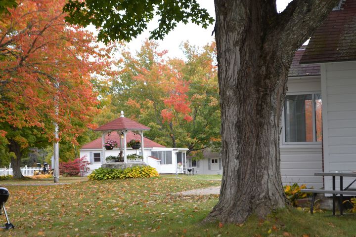 Property Grounds 175 of 177