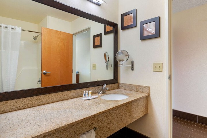 Comfort Suites Stevensville - St. Joseph