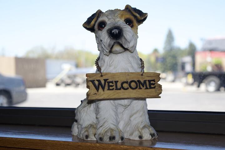 Pet Friendly 44 of 44