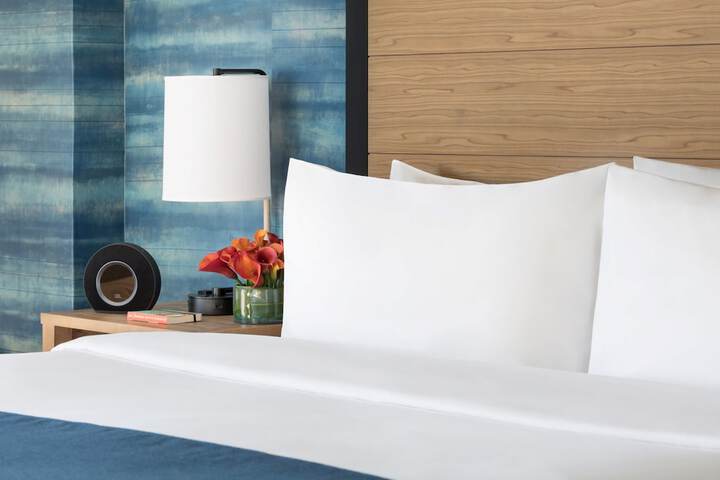 Hotel Caza