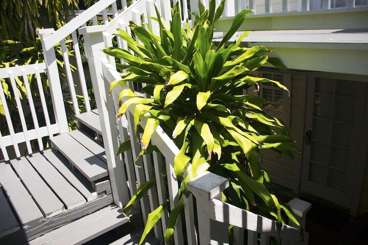 Sundeck 99 of 111