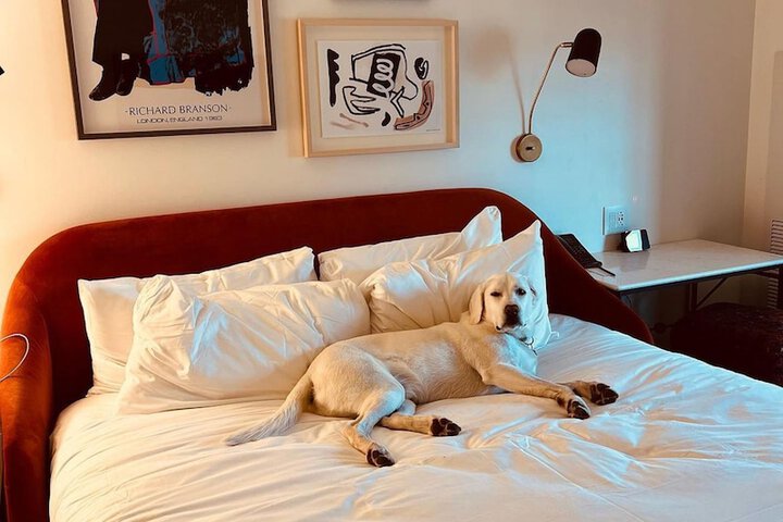 Pet Friendly 215 of 216