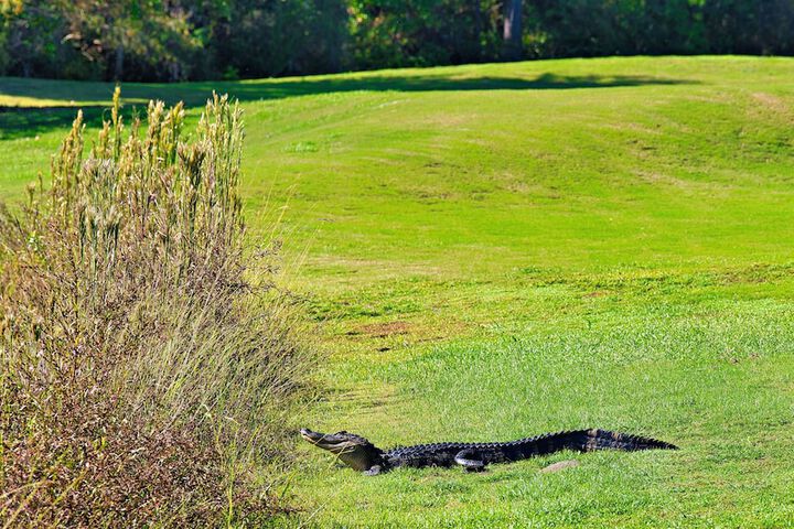 St James Bay Golf & Pickleball Resort