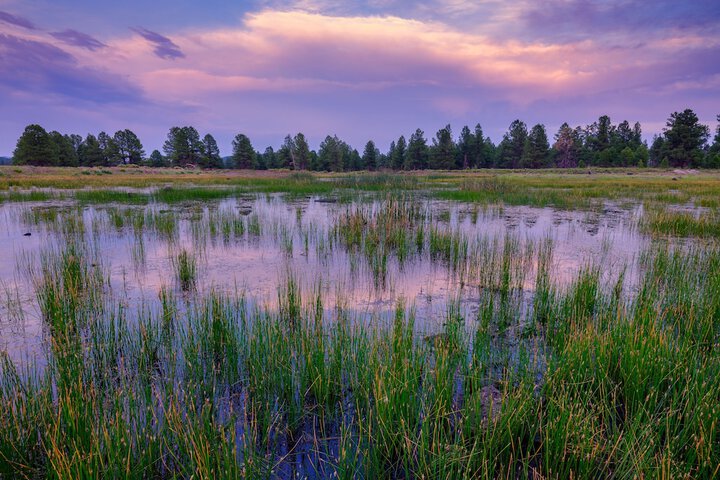 Backland Luxury Nature Resort - Grand Canyon