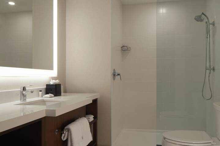 Delta Hotels by Marriott Dallas Southlake