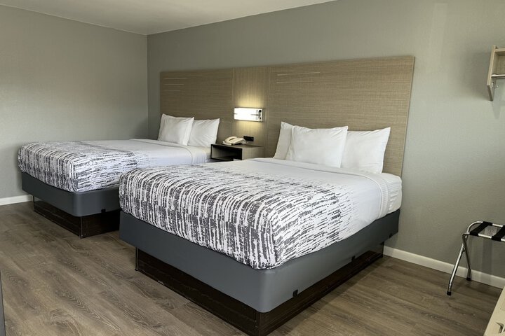 Room 11 of 31