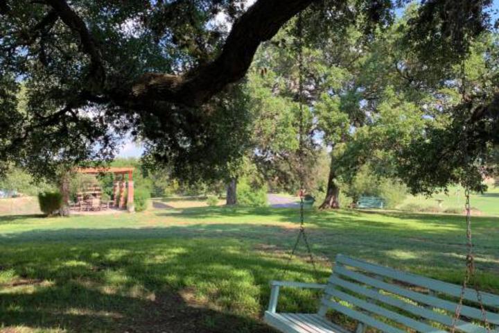 Salado Cottage Retreat near Downtown