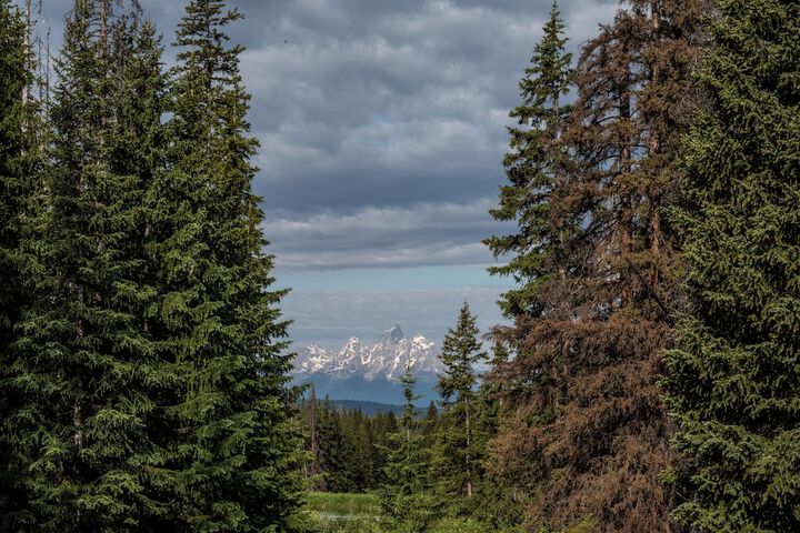 Togwotee Mountain Lodge
