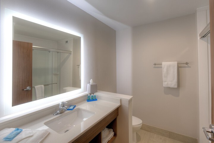 Holiday Inn Express & Suites Fort Mill by IHG