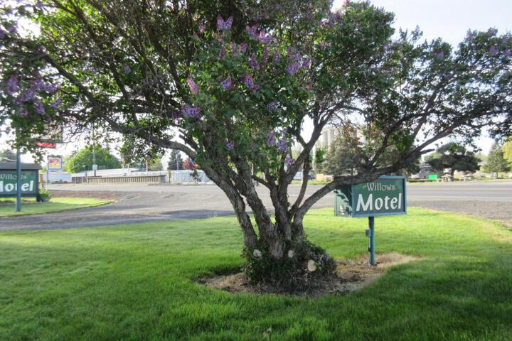 The Willows Motel