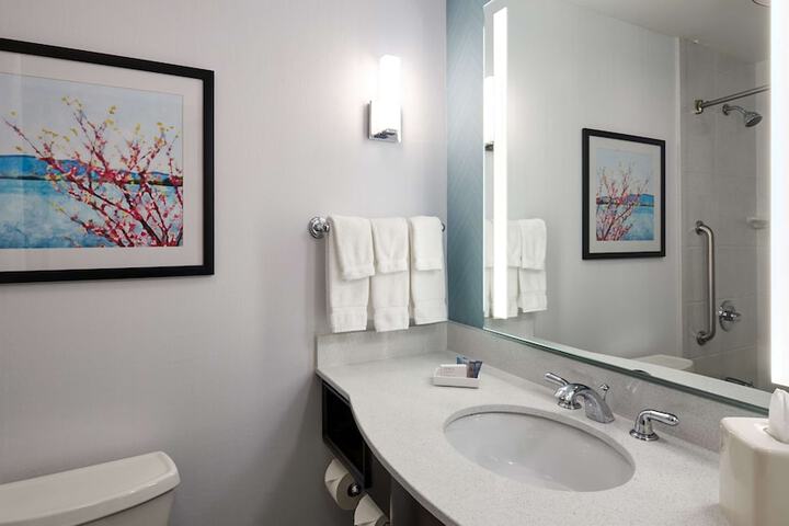 Hilton Garden Inn Merrillville