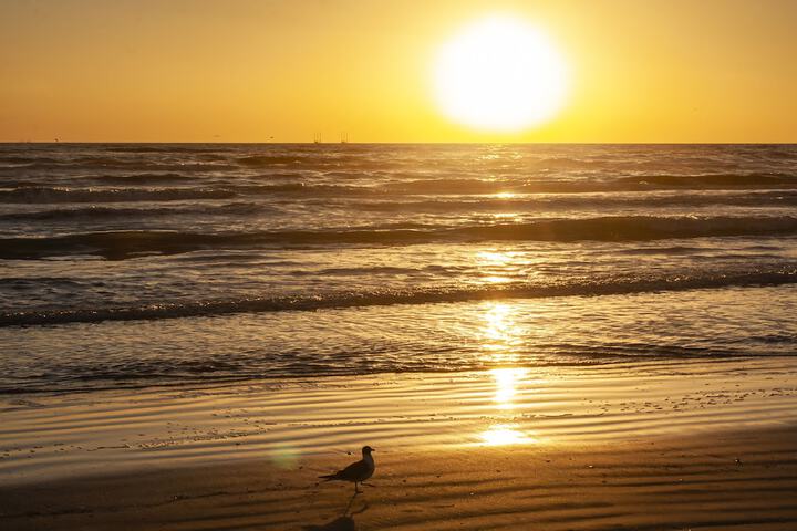 Holiday Inn Resort South Padre Island - Beach Front by IHG