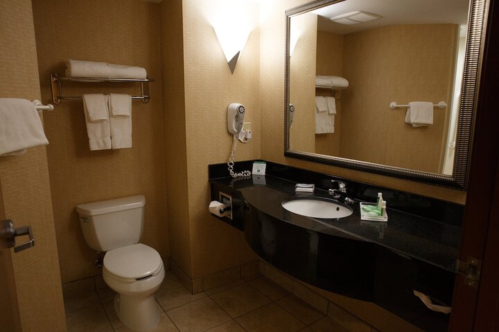 Holiday Inn Battle Creek by IHG