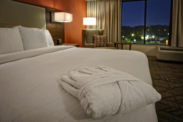 Hilton Knoxville Airport