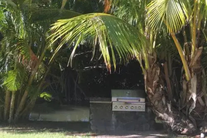 Aloha Aku Honu 2
