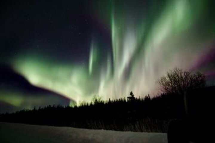 Fairbanks Moose Manor B & B