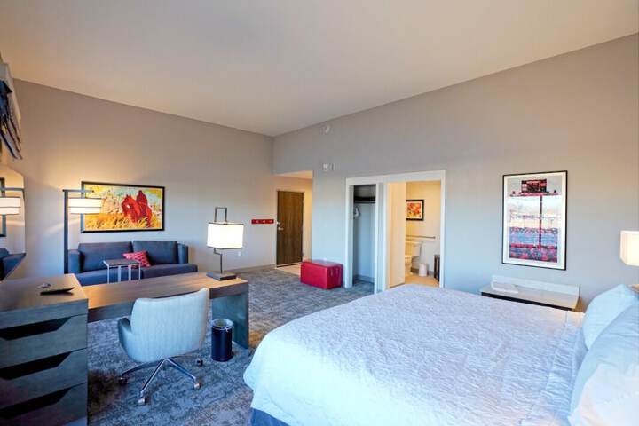 Hampton Inn & Suites Lubbock University