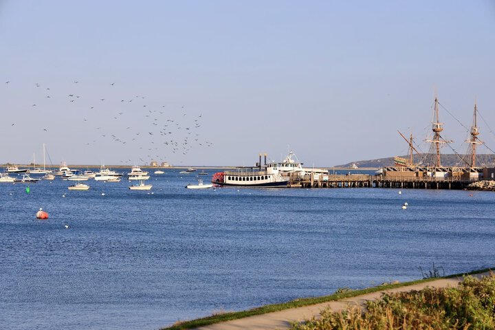 Harbourtown Suites