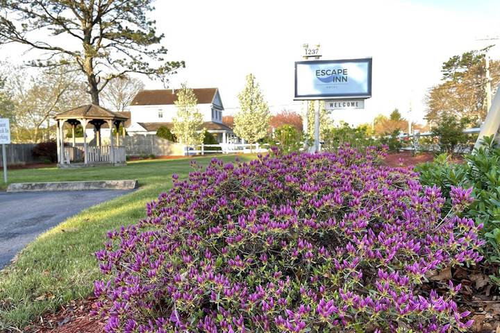 The Escape Inn