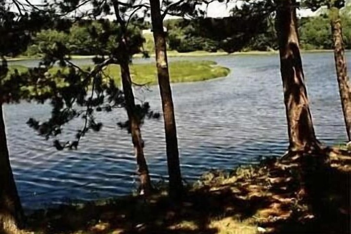 Property Grounds 43 of 43