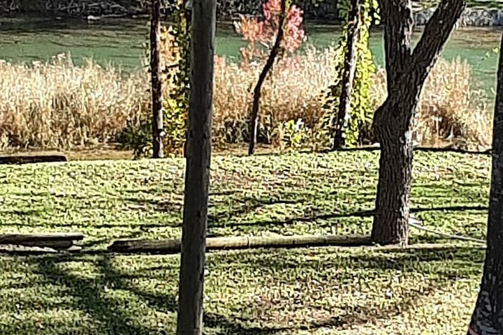 Horseshoe Riverside Lodge