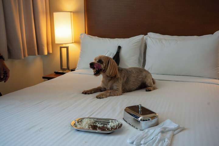The Oswego Hotel