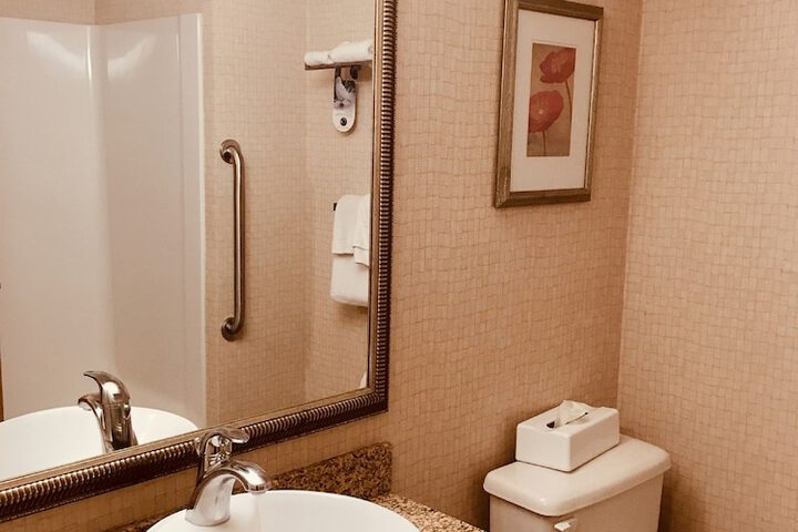 Holiday Inn Hotel & Suites Osoyoos by IHG