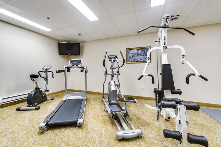Monte Carlo Inn - Brampton Suites