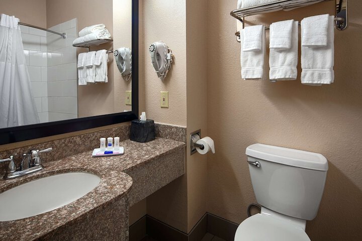 Best Western Plus Kalamazoo Suites
