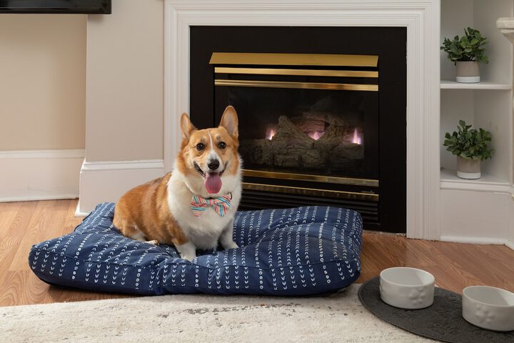 Pet Friendly 67 of 72