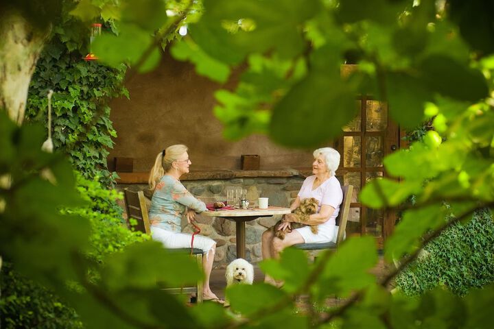Pet Friendly 127 of 146