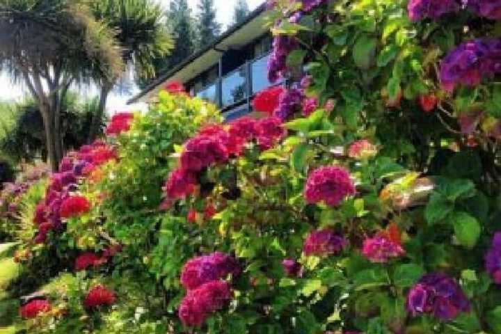 Tofino Motel Harborview