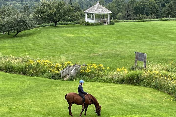 The Wildflower Inn