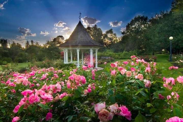 The Grand Hotel - Salem