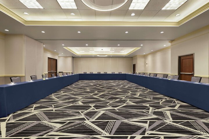 Meeting 43 of 56