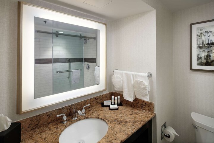 Embassy Suites by Hilton Tysons Corner