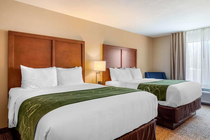 Comfort Inn & Suites Schenectady - Scotia