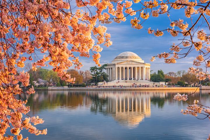 Outdoor Activities 77 of 77