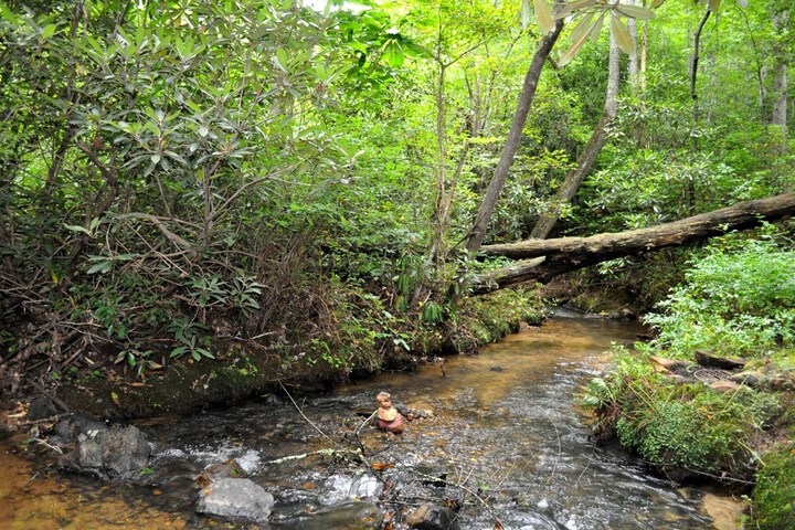 Twin Creeks