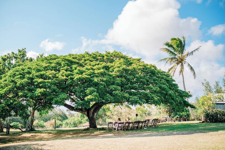 Hotel Exterior 54 of 55