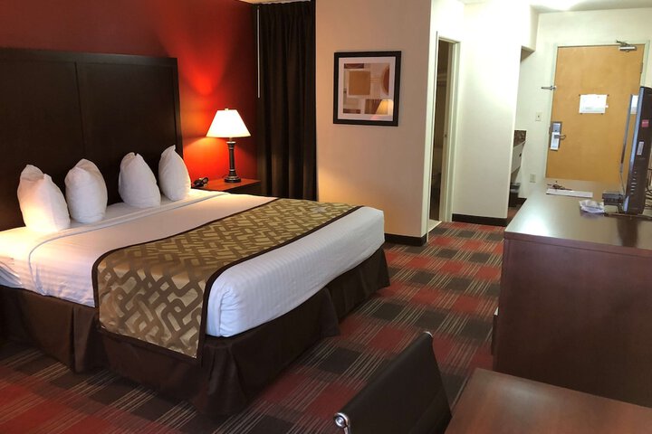 Best Western Dallas Inn & Suites