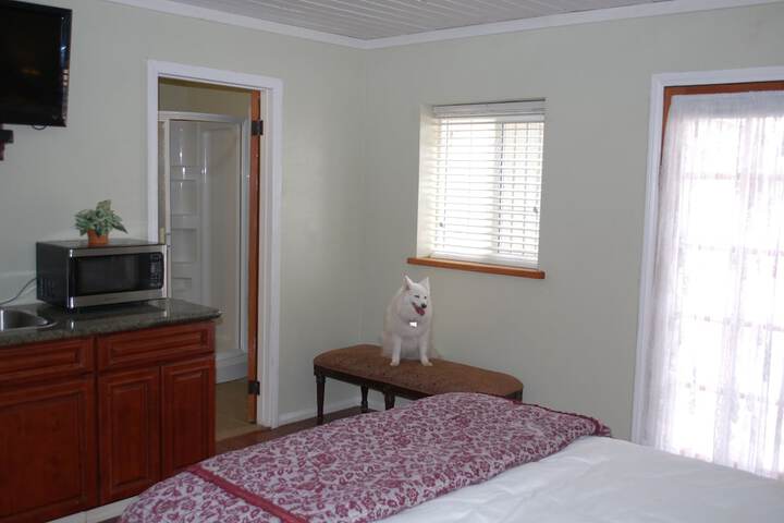 Room 115 of 146