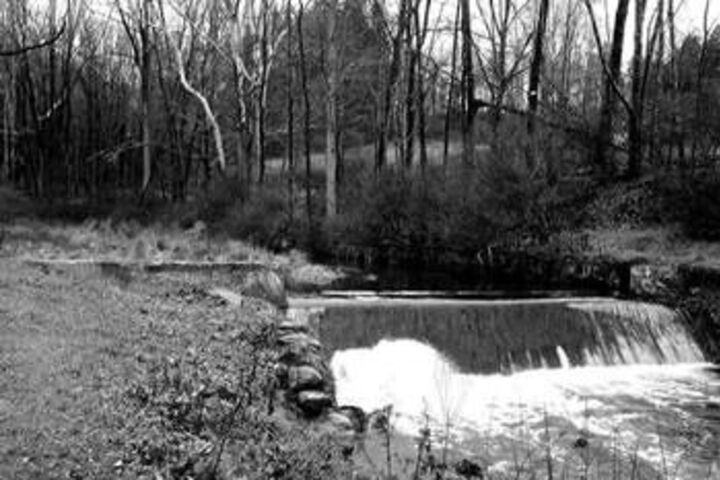 Brook Falls Farm