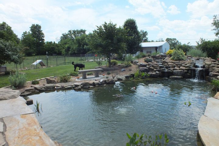 Montrose Farms Alpaca Ranch