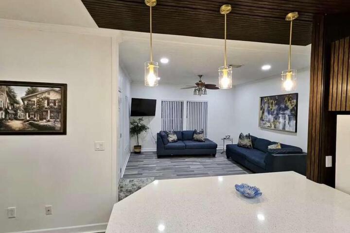 Beautiful & Modern Valrico Apartment